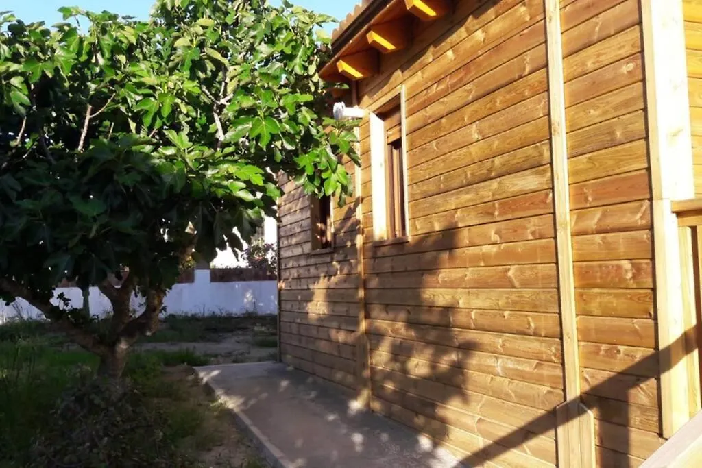 Dar Azahar Villa Conil De La Frontera Holiday home